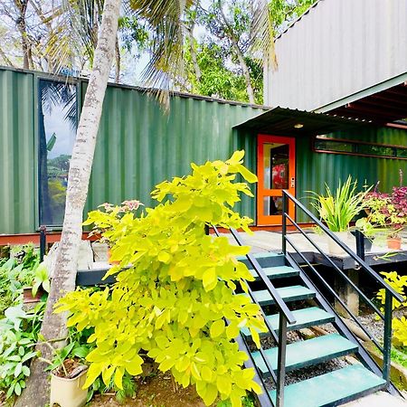 Traveler'S Haven Hostel At Colombo Intl Airport 卡图纳耶克 外观 照片