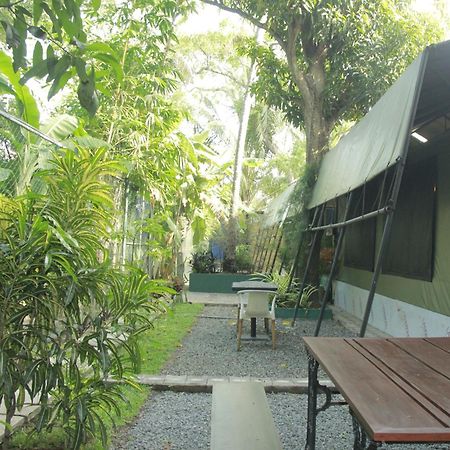 Traveler'S Haven Hostel At Colombo Intl Airport 卡图纳耶克 外观 照片