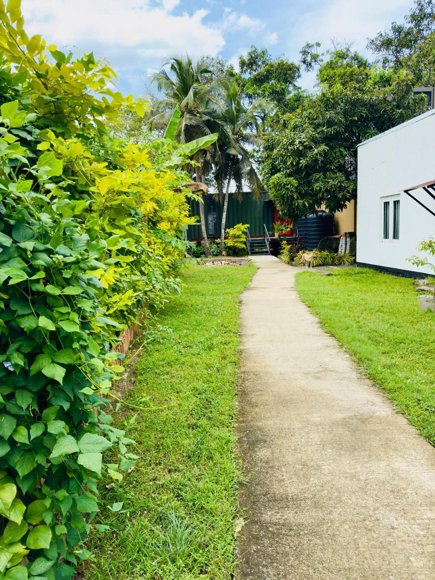 Traveler'S Haven Hostel At Colombo Intl Airport 卡图纳耶克 外观 照片